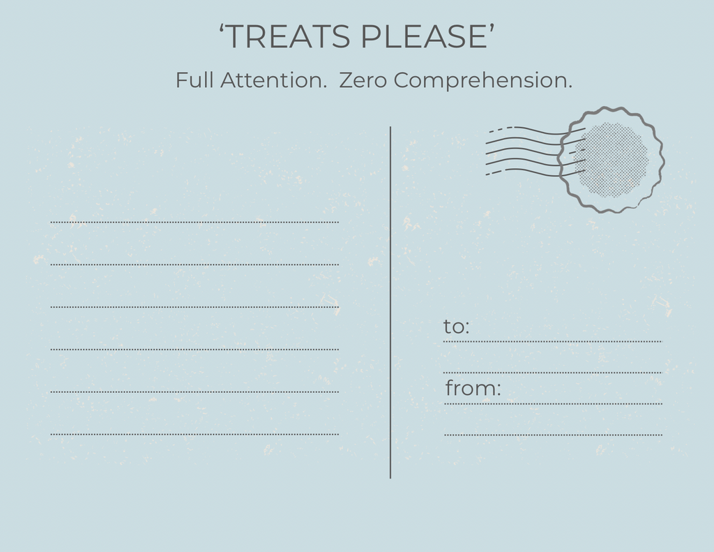 A light blue postcard-style card with the text 'TREATS PLEASE' at the top, smaller text reading 'Full Attention. Zero Comprehension.