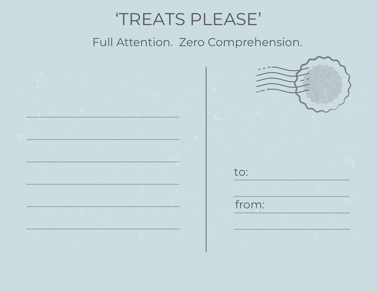 A light blue postcard-style card with the text 'TREATS PLEASE' at the top, smaller text reading 'Full Attention. Zero Comprehension.