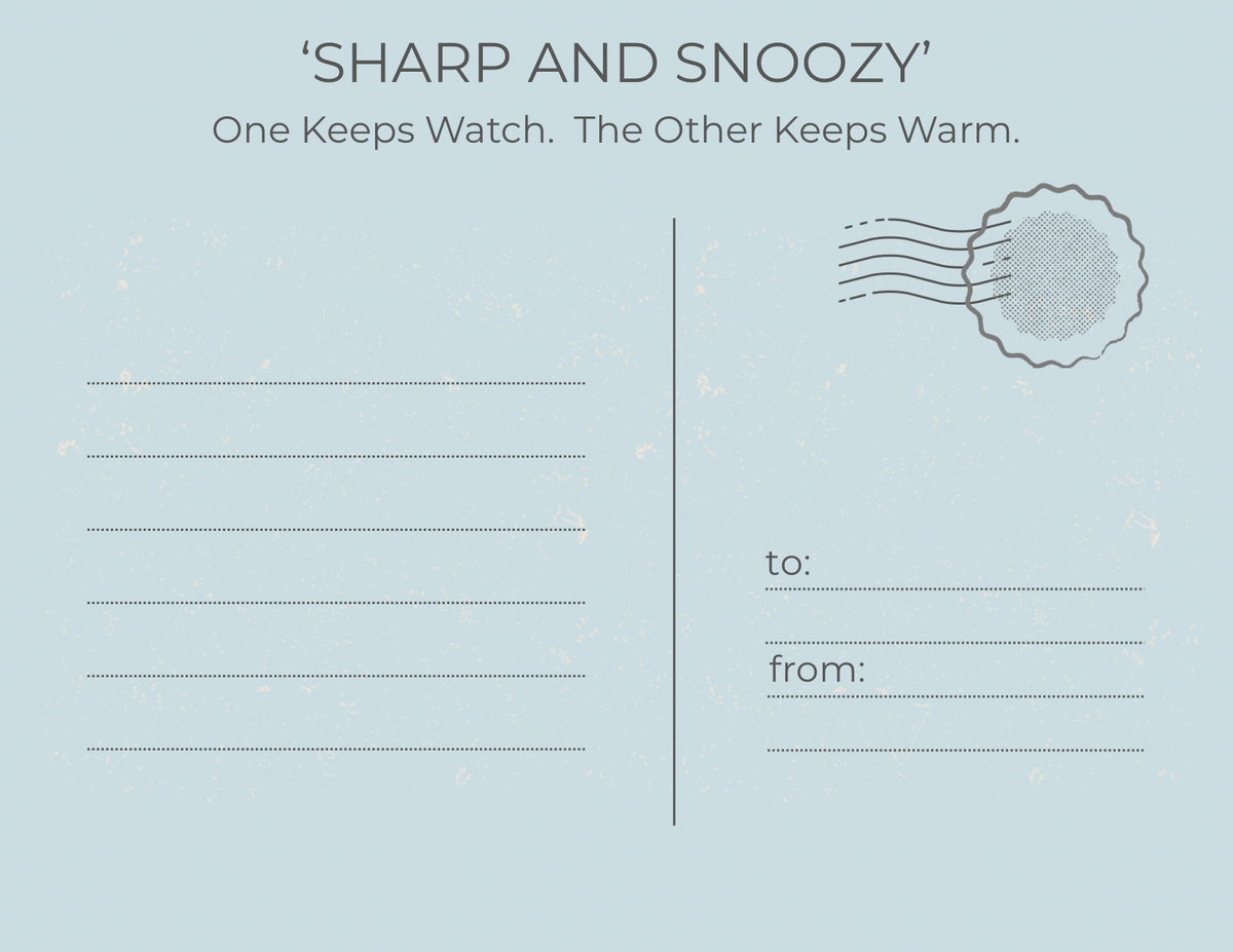 A light blue postcard-style print with the text 'SHARP AND SNOOZY' and the subtitle 'One Keeps Watch. The Other Keeps Warm.